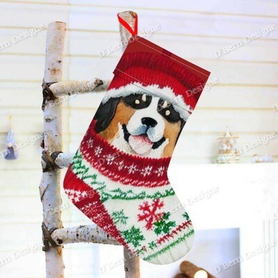 D´Bern Designe Xmas sock B1 Large