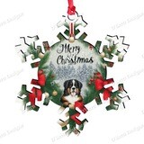 D´Bern Designe snowflake ornament Berner 31a