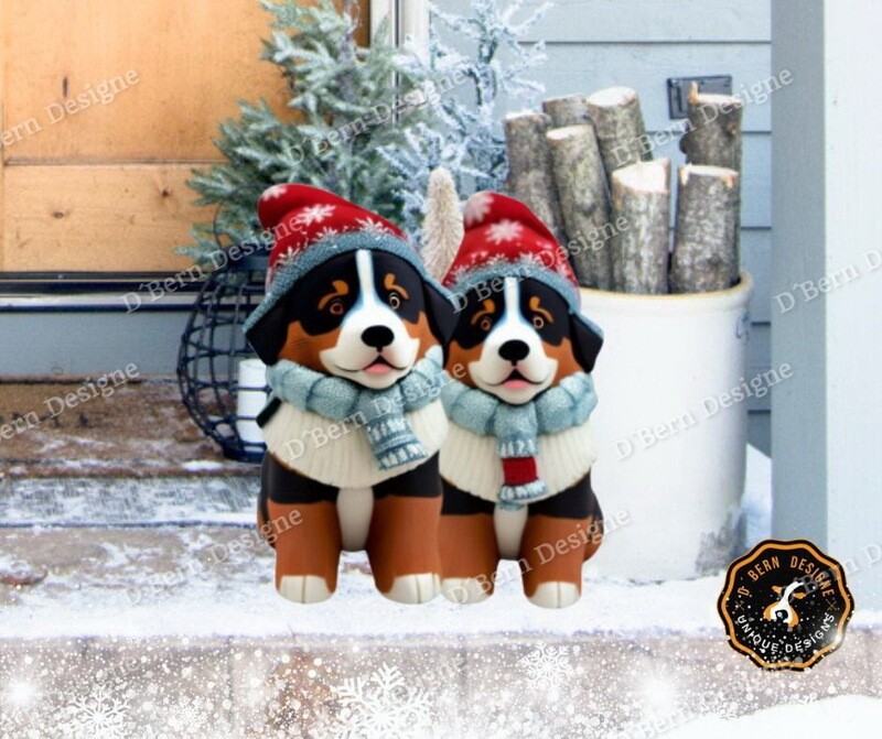 D˙Bern Designe IN and OUTside Winter  Berner 2J  metal sign in COLORS