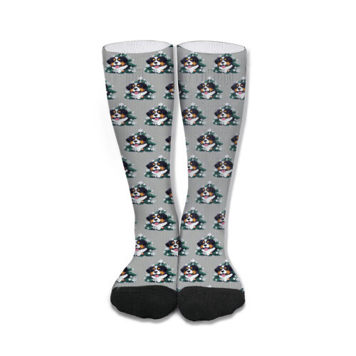 ​D´Bern Designe Bernese holidays socks unisex 50cm /F