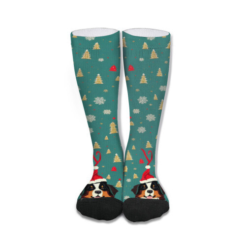 ​D´Bern Designe Bernese holidays socks unisex 50cm /B