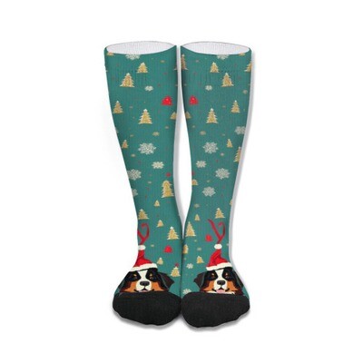 ​D´Bern Designe Bernese holidays socks unisex 50cm /B