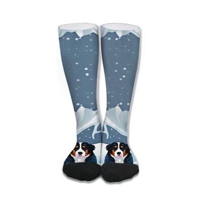​D´Bern Designe Bernese holidays socks unisex 50cm /D