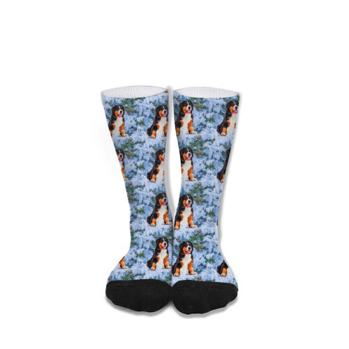 ​D´Bern Designe Bernese holidays socks unisex 40cm /M