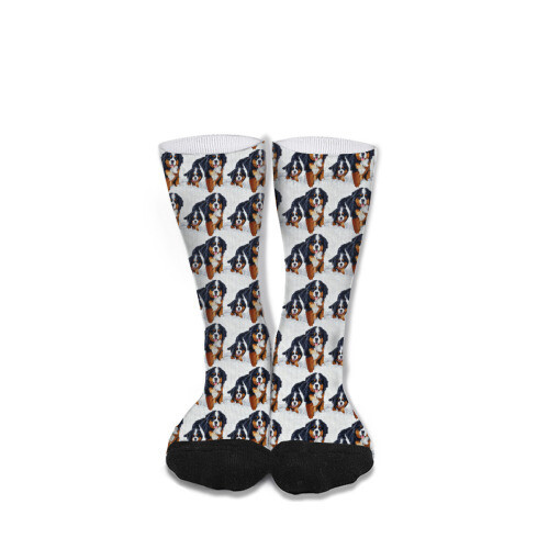 ​D´Bern Designe Bernese holidays socks unisex 40cm /J