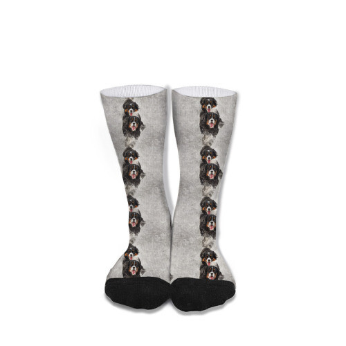 ​D´Bern Designe Bernese holidays socks unisex 40cm /N