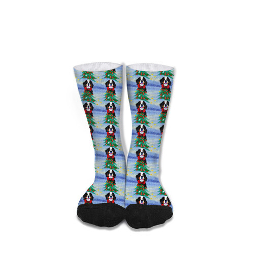 ​D´Bern Designe Bernese holidays socks unisex 40cm /P