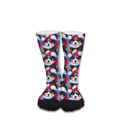 ​D´Bern Designe Bernese holidays socks unisex 40cm /K