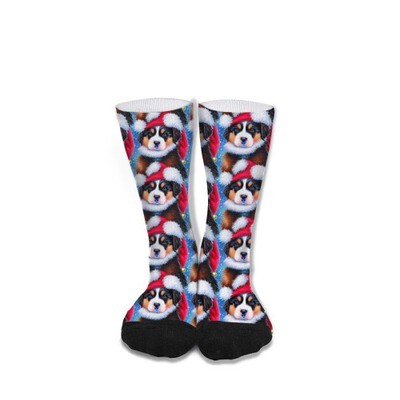 ​D´Bern Designe Bernese holidays socks unisex 40cm /K