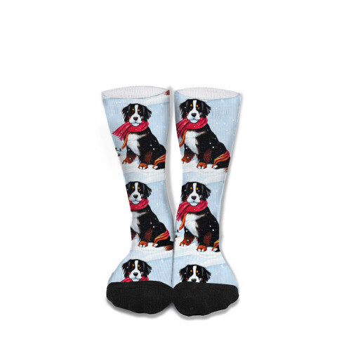 ​D´Bern Designe Bernese holidays socks unisex 40cm /S