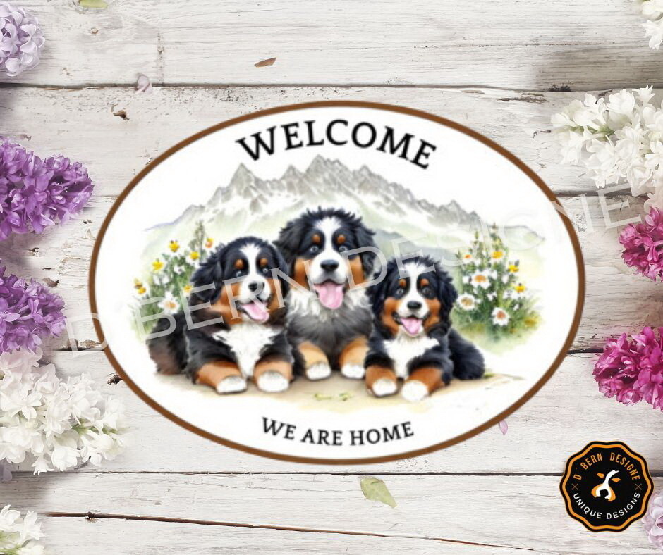D˙Bern Designe IN and OUTside  Berner Boval metal sign in COLORS