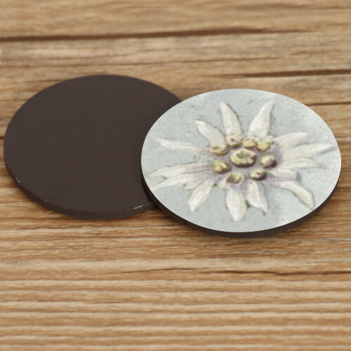 D˙Bern Designe IN and OUTside Berner magnetic stickers Edelweiss 2pcs. / rubber