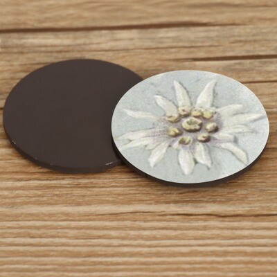 D˙Bern Designe IN and OUTside Berner magnetic stickers Edelweiss 2pcs. / rubber