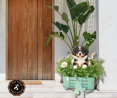 D˙Bern Designe Berner Easter holidays wooden sign C