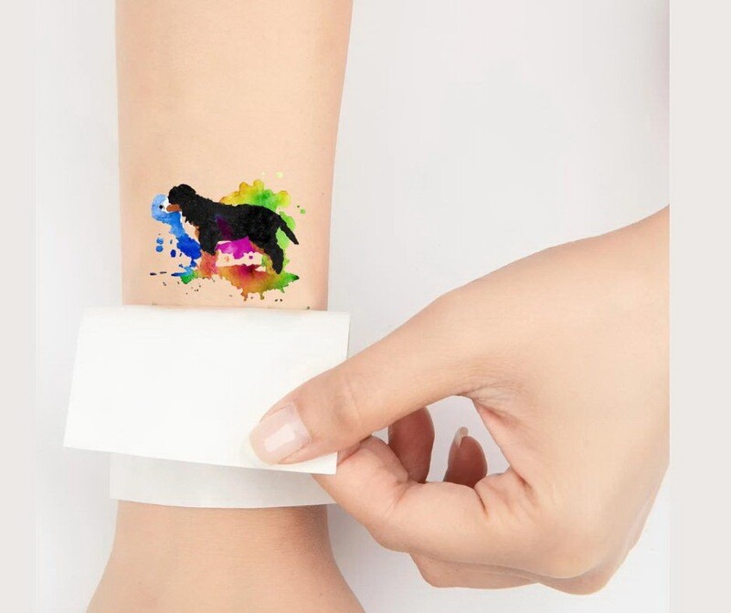 D´Bern Designe Berner temporary Tattoo sticker N / 6 stickers included