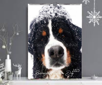 D`Bern Designe  Bernese CALENDAR 2025