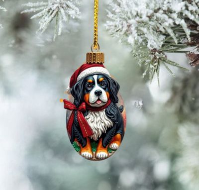 D´Bern Designe Xmas ornament 1oh