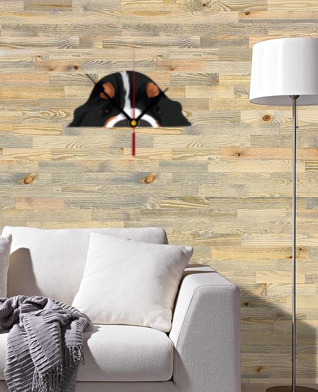 D˝Bern Designe wall or stand clock Bern