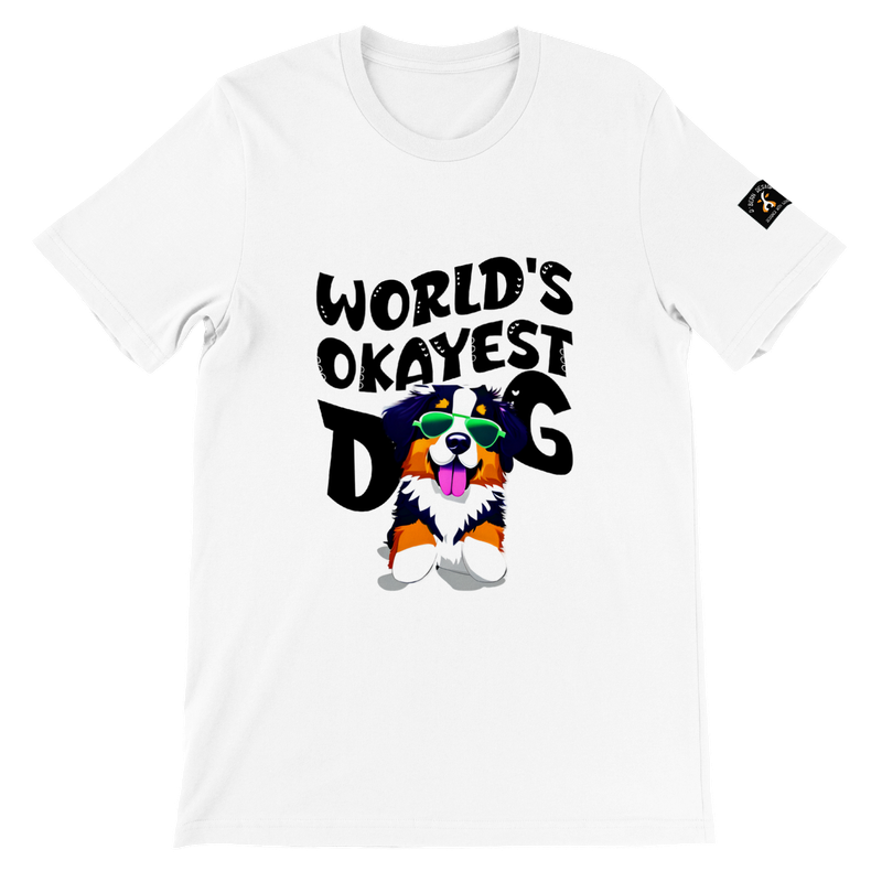 D˙Bern Designe  Premium Unisex  Bern T shirt / in 4 colors