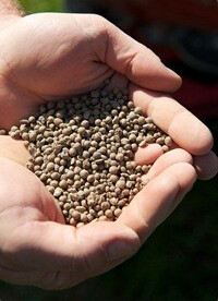 Lime Prills 20kg