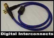 Digital Interconnects