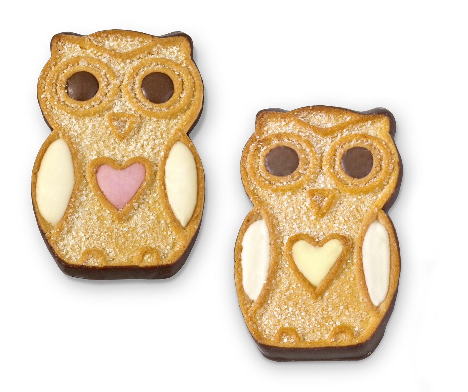 Celpol Owl Cookies Package 17.6 oz (500g)