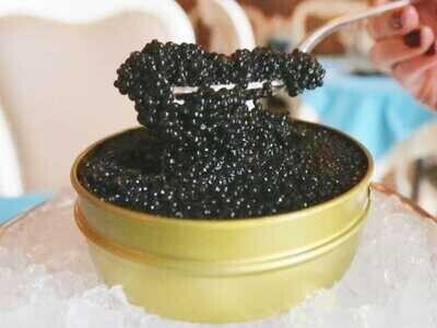 Beluga Sturgeon Black Caviar 0.5 oz (14g) Jar