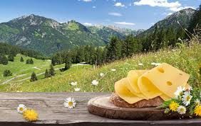 Vegetarian European Cheese Sandwich