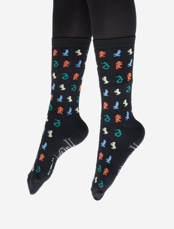 Harry Potter Hogwarts House socks (small)