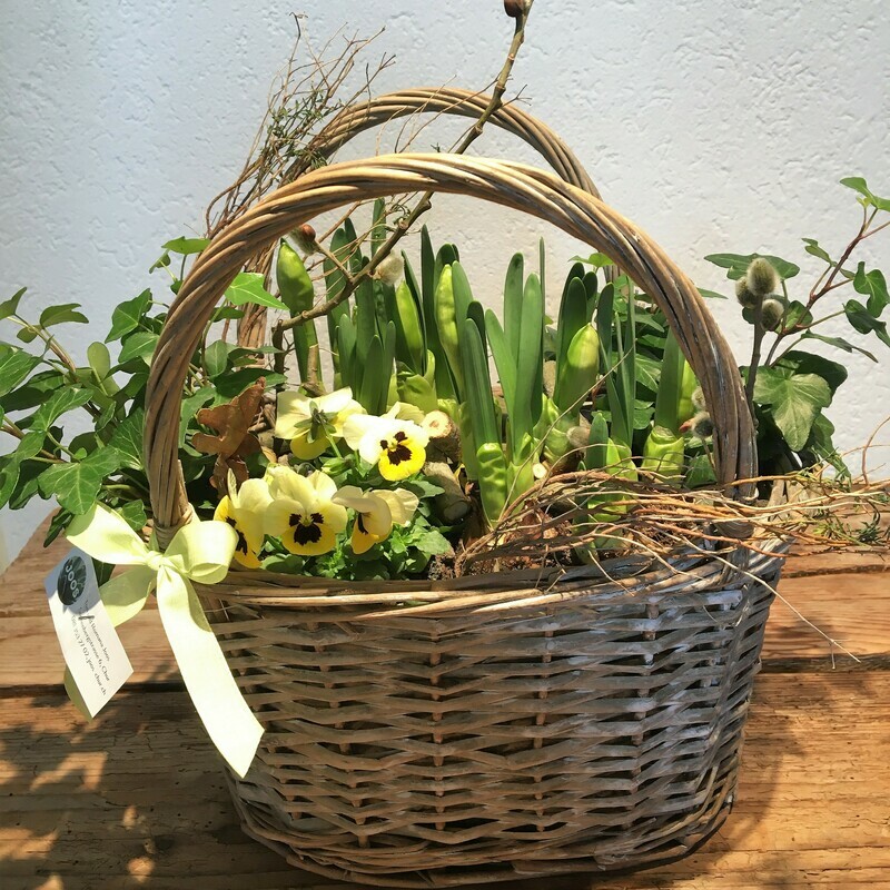 Frühlingskorb