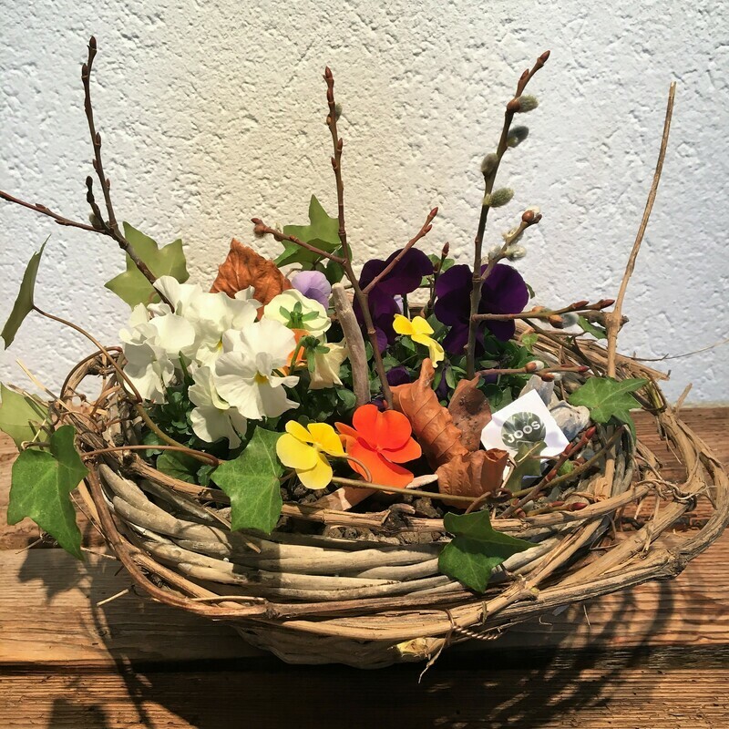 Korb mit bepflanzten Stiefmütterchen