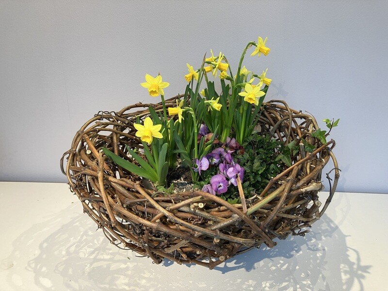 bepflanzter Rebholzkorb