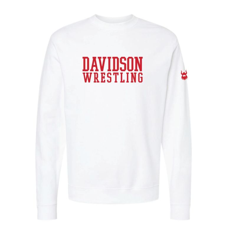Davidson Whiteout Youth Crewneck