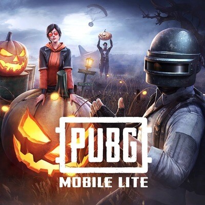 PUBG LITE (BC)