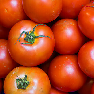 Tomato Red  - each