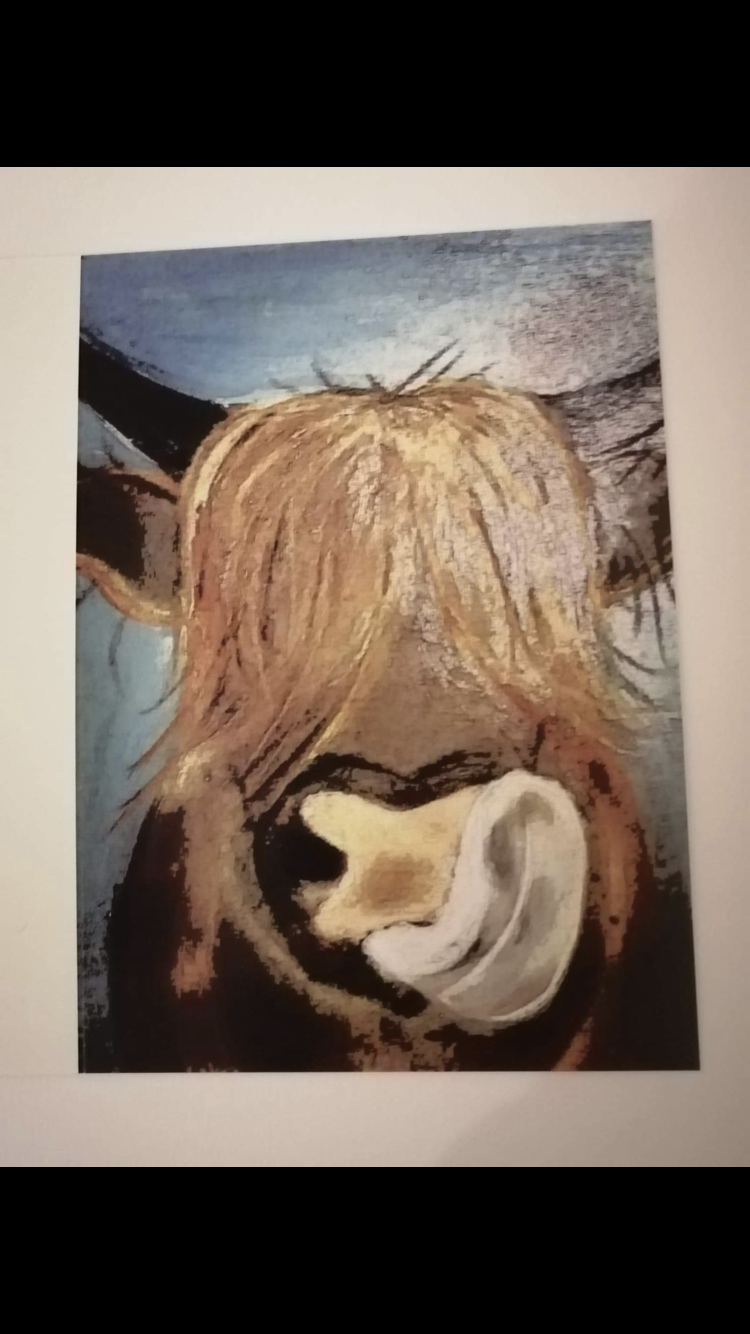 Harry The Highland Greetings card (6x4)