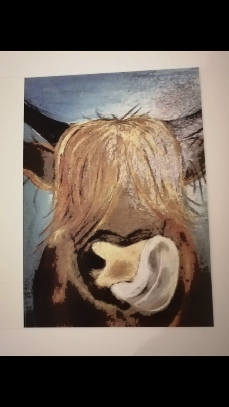 Harry The Highland Greetings card (6x4)