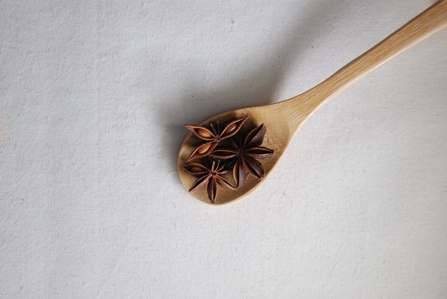 Star Anise (Organic)