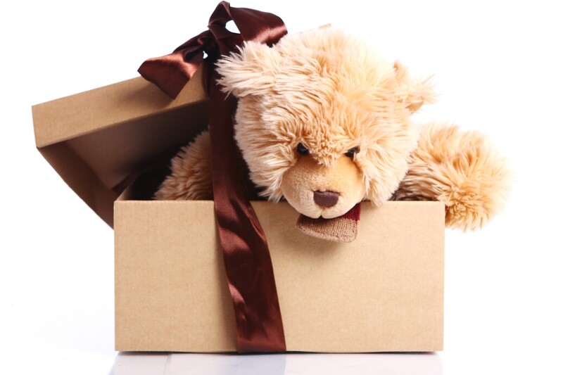 Oso en caja de carton natural