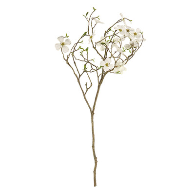 Dogwood Blossom Branch 40