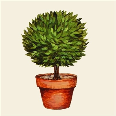 Topiary Cocktail Napkin