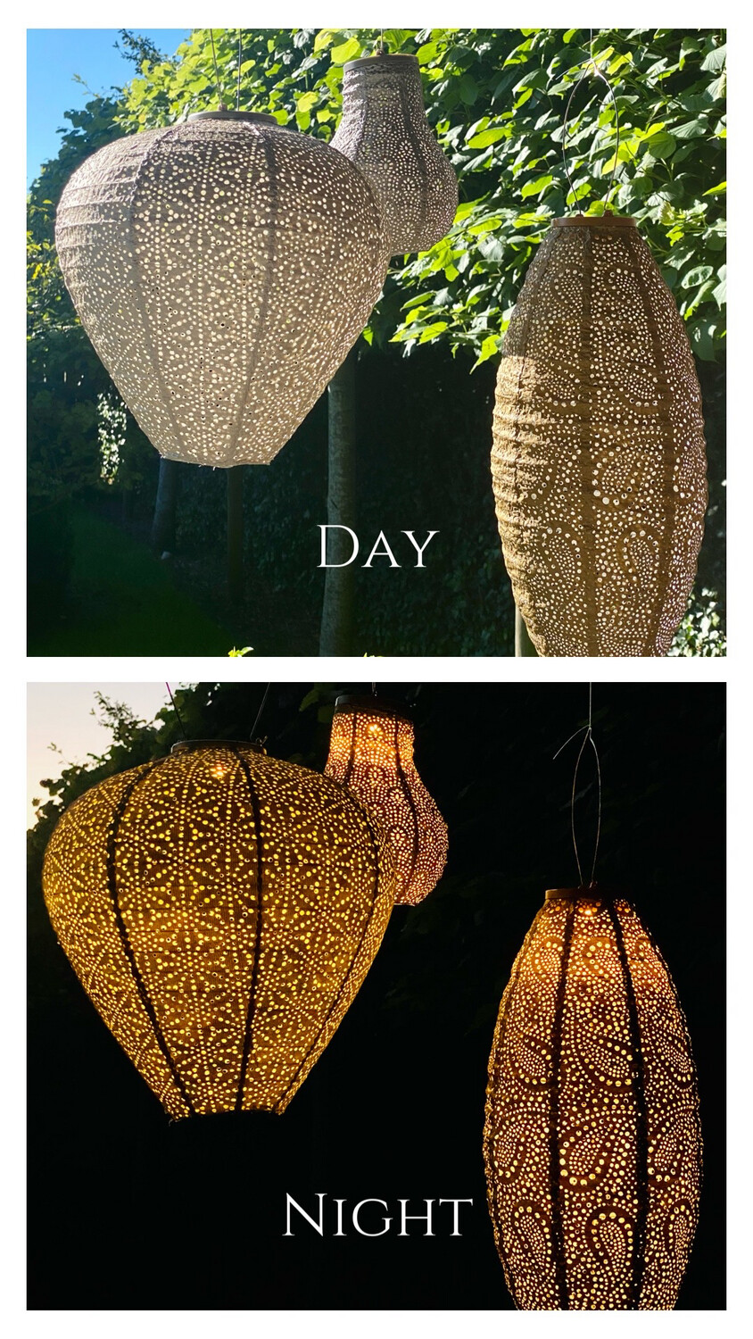 Solar Lampion