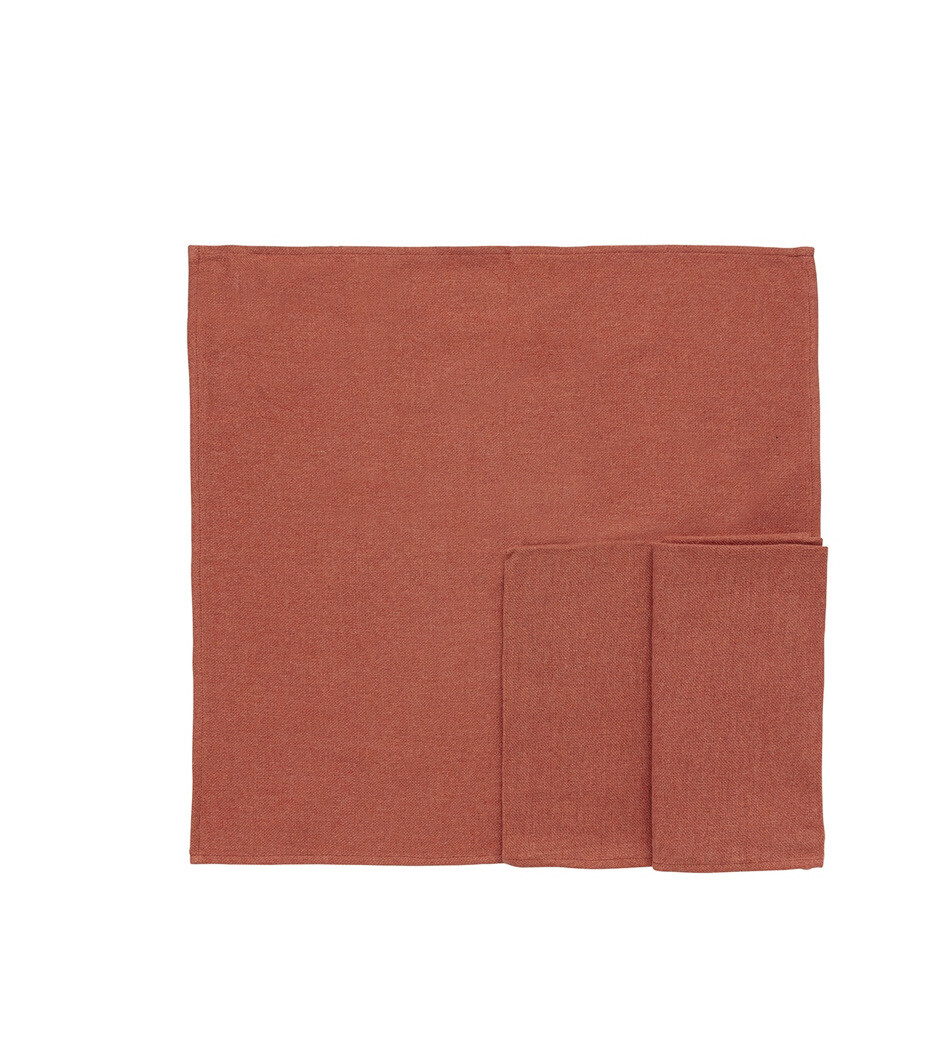 Servetten Recycled (set van 4)