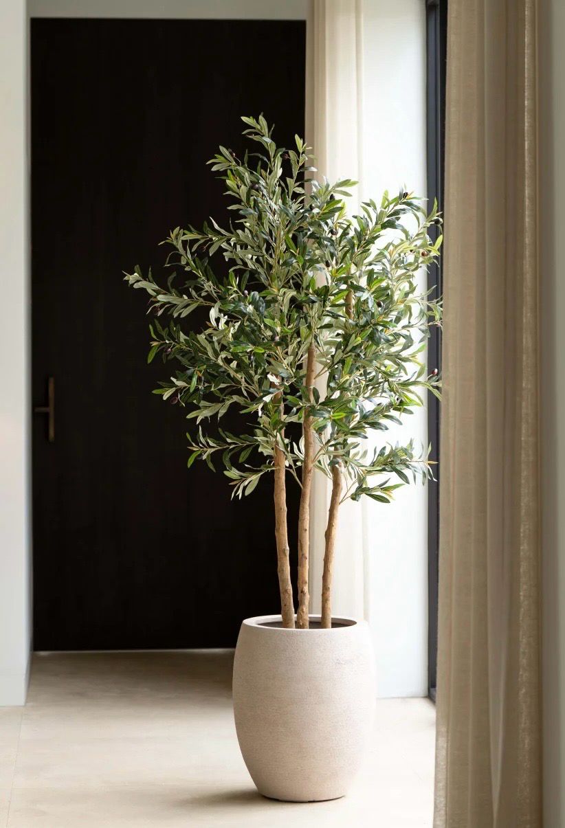 Olijfboom 180cm (wood)