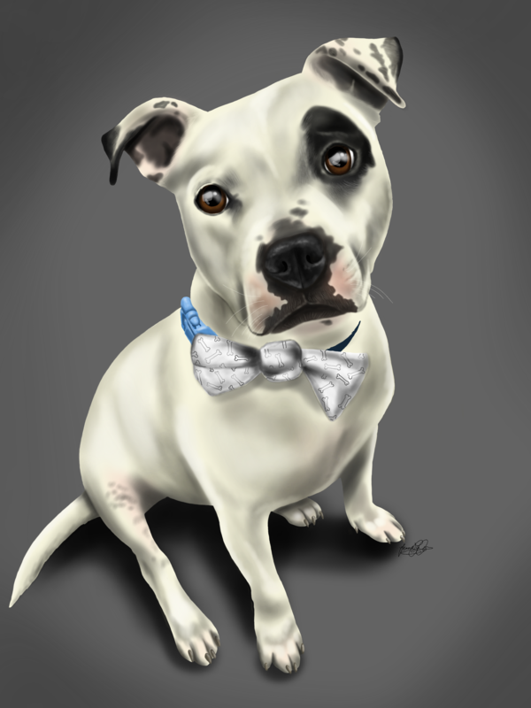 Pet Portrait
