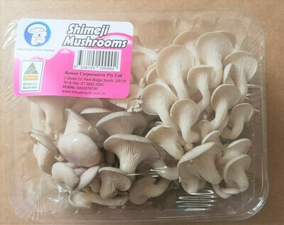Fresh Shimeji mushroom