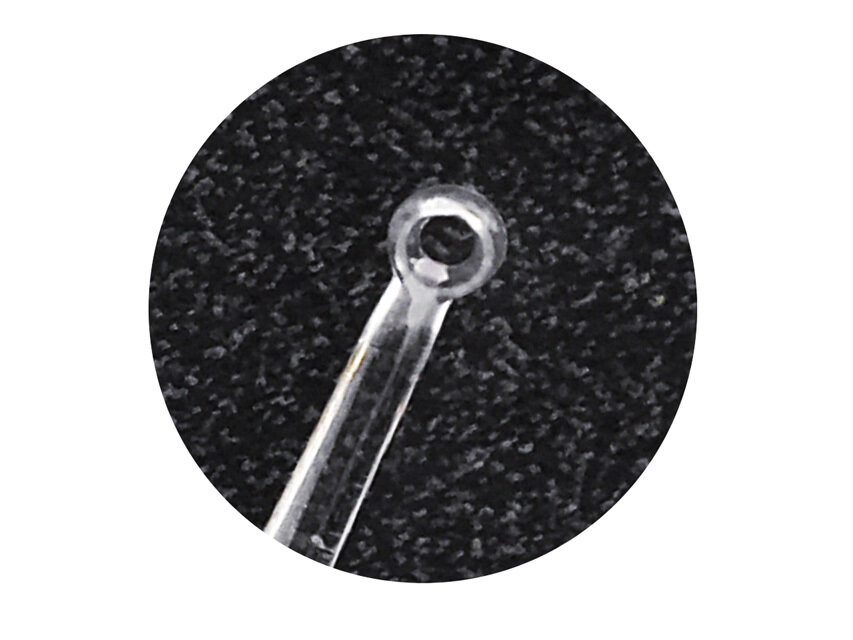 LIGHTED MICRO LOOP with lens and LED illuminator