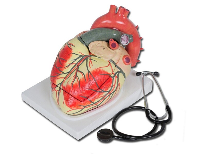 VALUE HEART - 3 parts - 3X