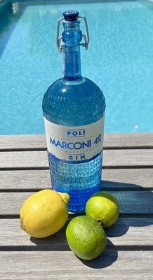 POLI Marconi 42 Gin
Ein immergrüner Gin, mit zarten Aromen von Wacholderbeeren, Koriander, Rosmarin, Minze und Basilikum - wie ein Tag am Mittelmeer
42% Vol.
0,70 Liter