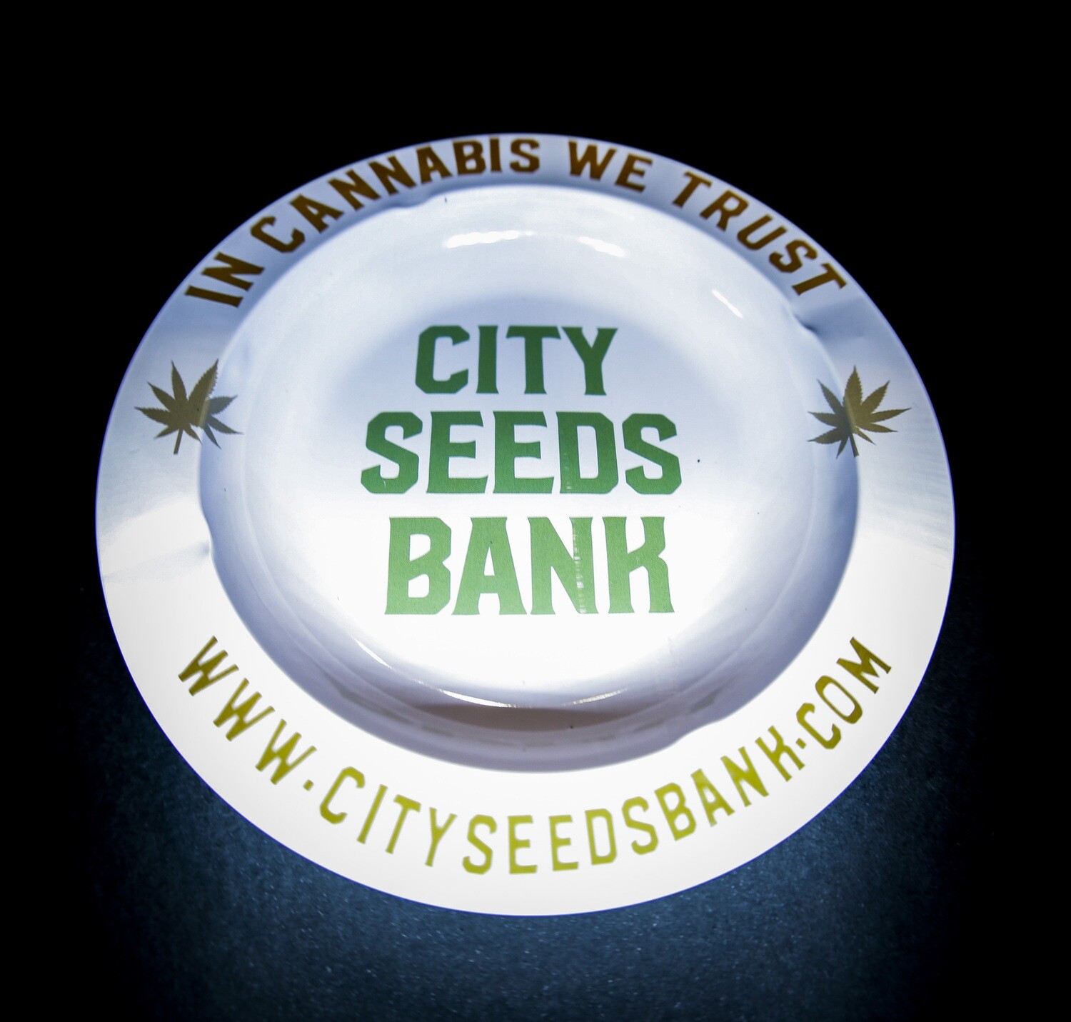 CITY SEEDS BANK